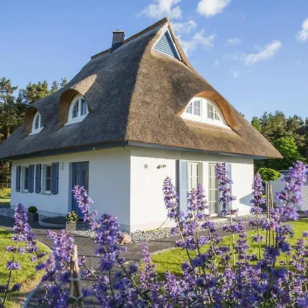 Holiday home In Fuhlendorf (Mecklenburg-Vorpommern)