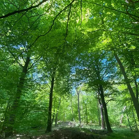 Vakantiehuis In Fuhlendorf (Mecklenburg-Vorpommern)