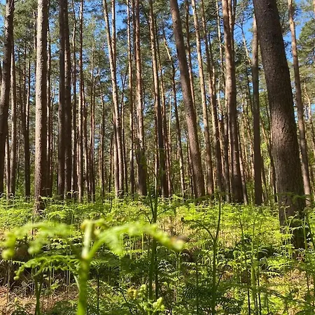 Vakantiehuis In Fuhlendorf (Mecklenburg-Vorpommern)